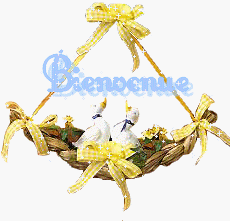 Gif animé bienvenue panier